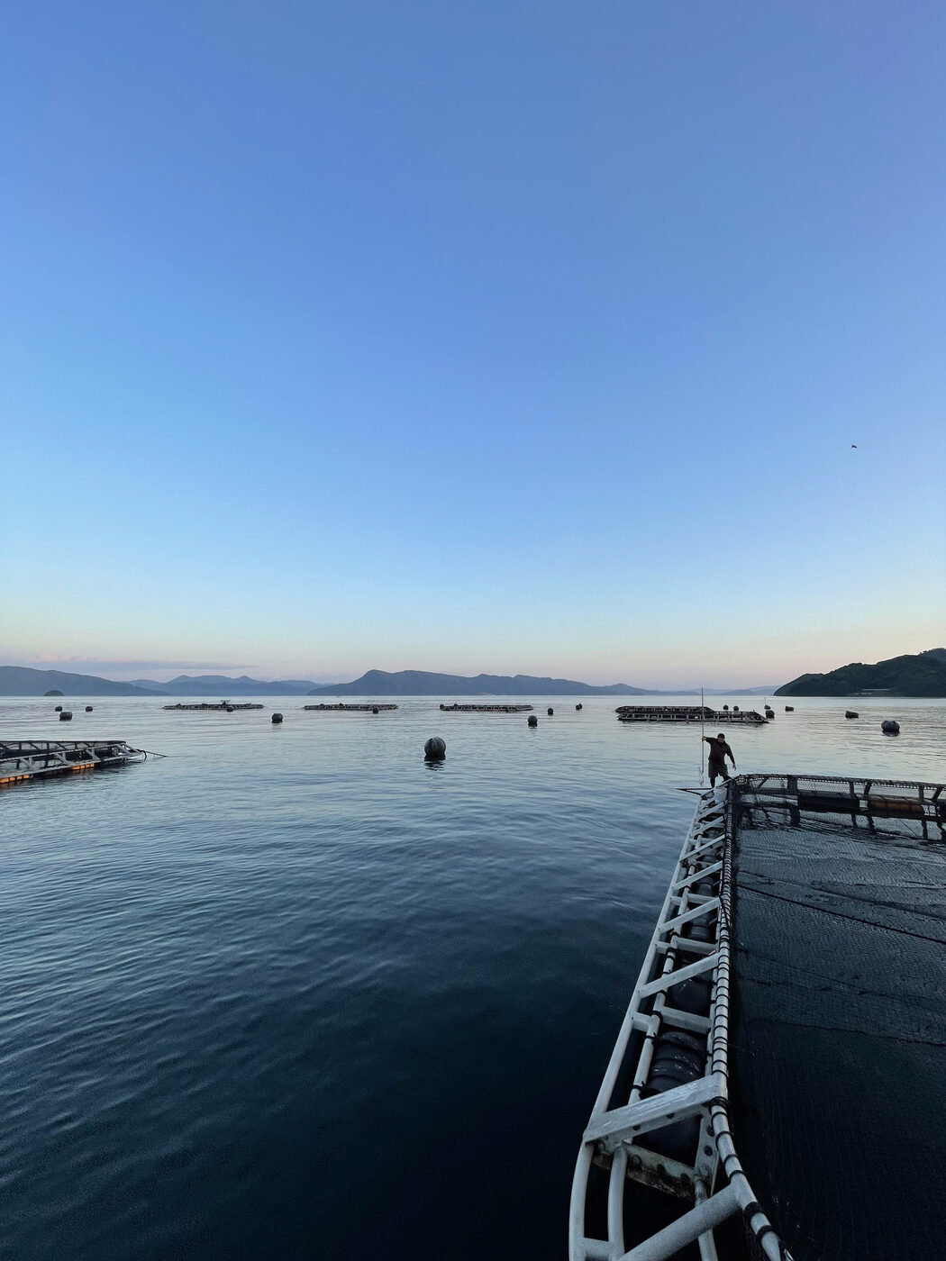 獅子島の養殖場